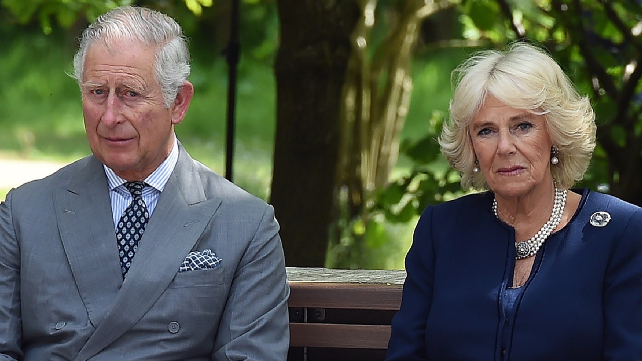 Book reveals King Charles and Queen Camilla's intense competition over shared 'obsession'.