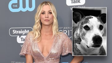 Kaley Cuoco faced a tough choice and decided to rehome her dog after conflicts with her fiancé's pet.