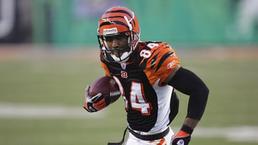 Bengals legend dampens team's winning streak: "Let's face tough opponents"