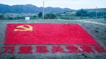 The internet in China, which is closely monitored, became overwhelmed with antisemitic content after the Hamas massacre.