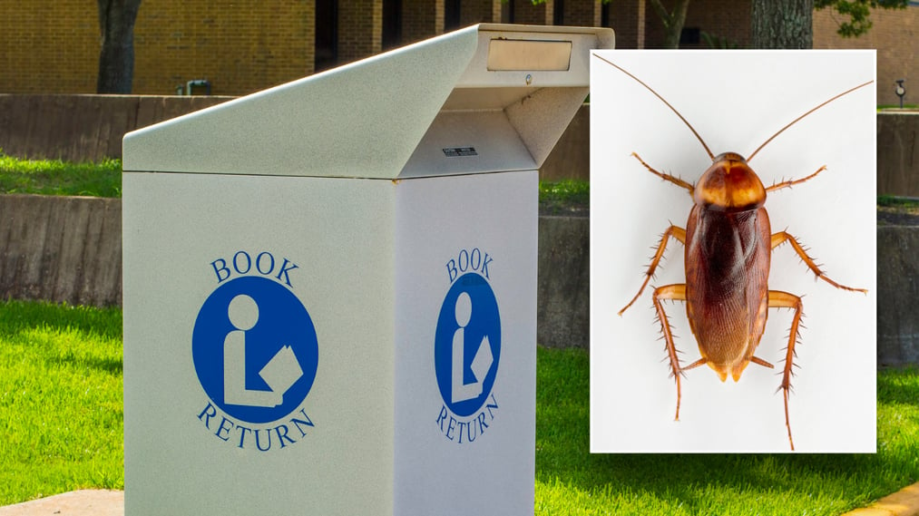 A crawly insect emerges from a DVD return, causing a Michigan library to shut down.