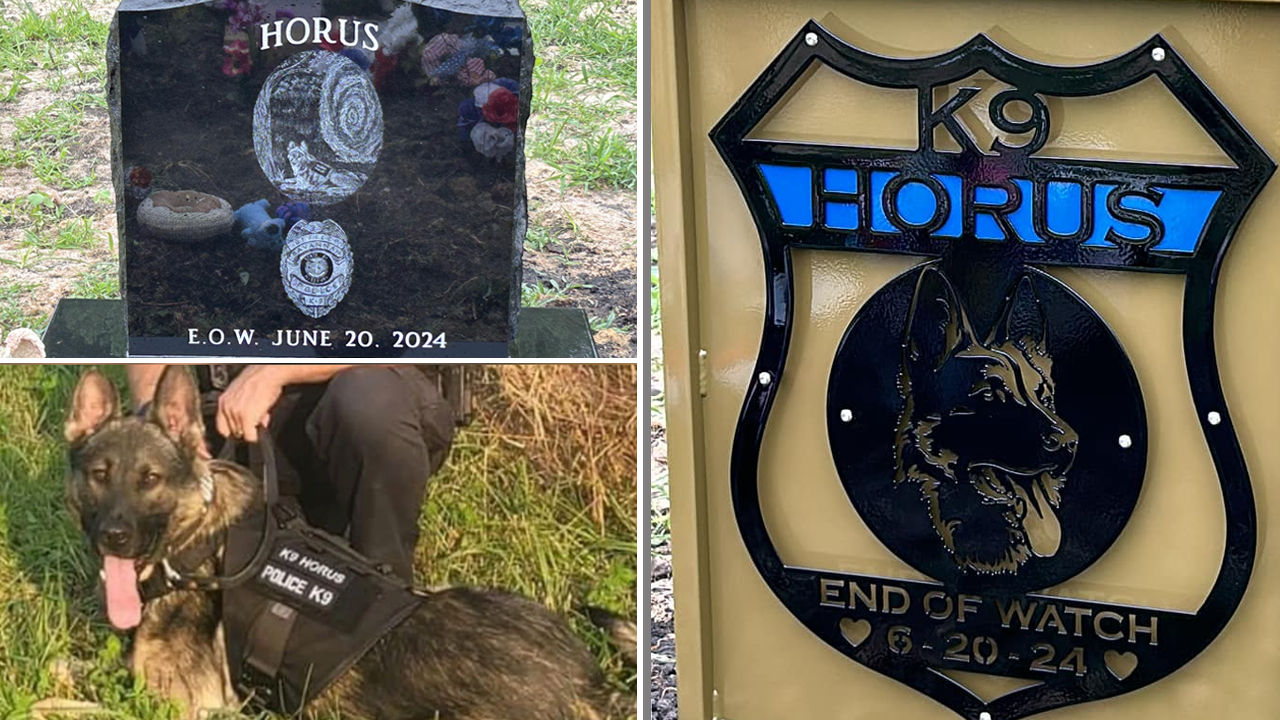 K-9 officer dies in hot car, Missouri police officer charged with manslaughter.