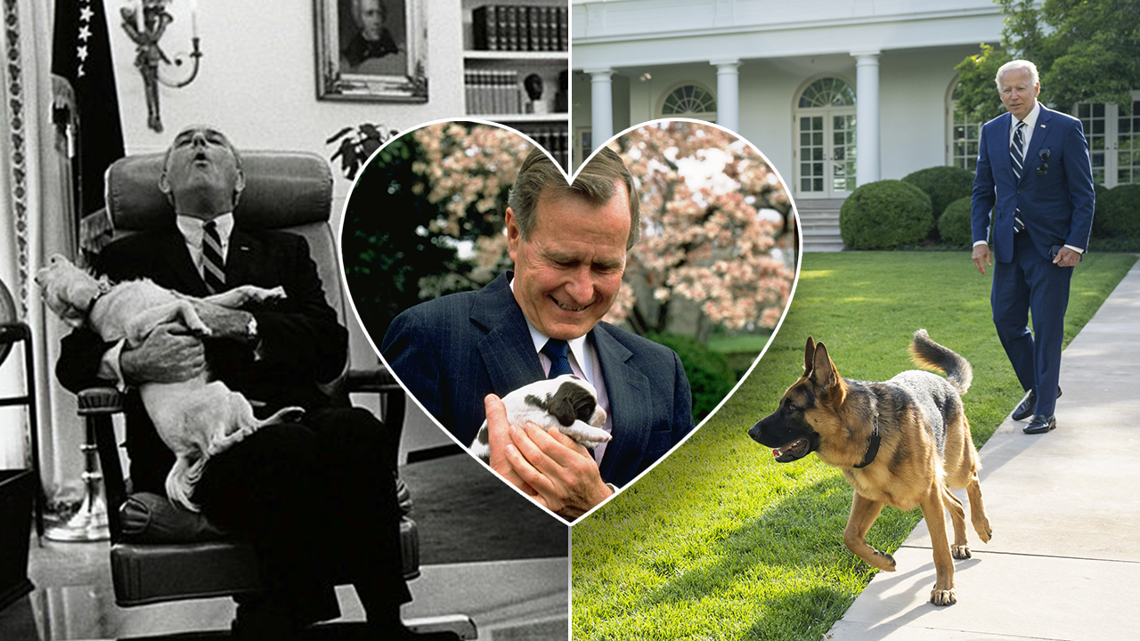 JD Vance's German shepherd may continue the beloved trend of dogs in the White House.