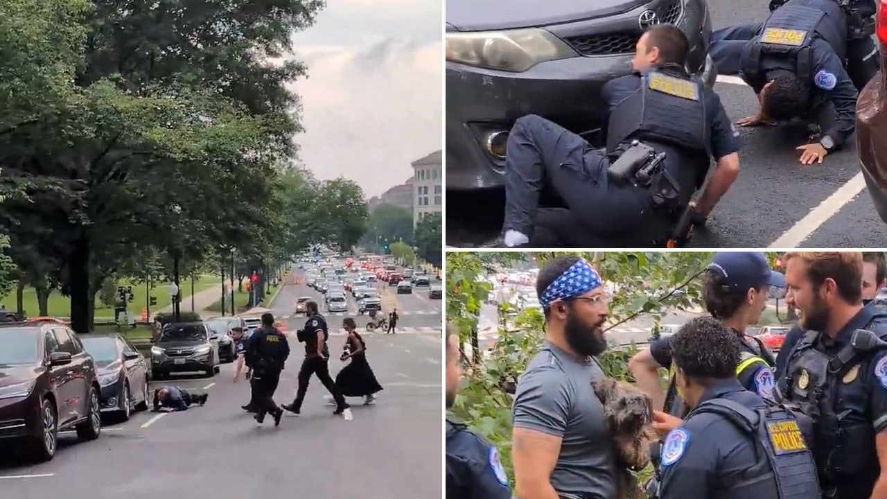 A Pooch Leads Police, Reporter, and Senate Staffers on a Hairy Rush-Hour Chase Around the Capitol While Running for Congress.