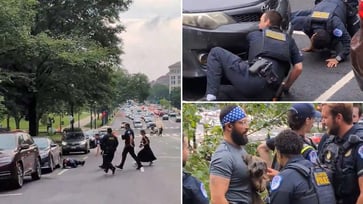 A Pooch Leads Police, Reporter, and Senate Staffers on a Hairy Rush-Hour Chase Around the Capitol While Running for Congress.