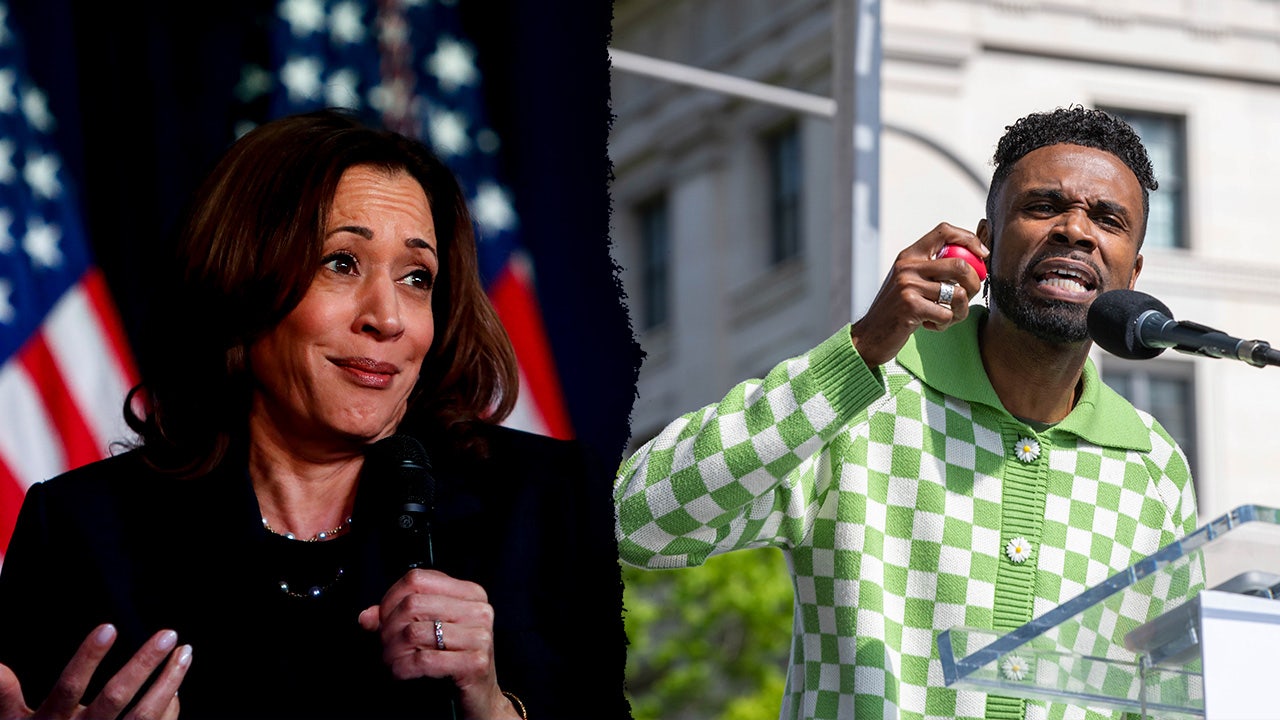 The Black Lives Matter organization has accused the Democratic Party of being hypocrites for installing Kamala Harris as Vice President without a public voting process.