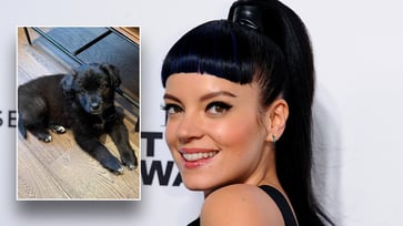 Lily Allen mocked for taking her dog back to the animal shelter due to the dog eating her passport.