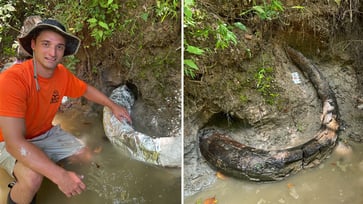 In Mississippi, a man unearths a rare mammoth tusk dating back to the Ice Age.