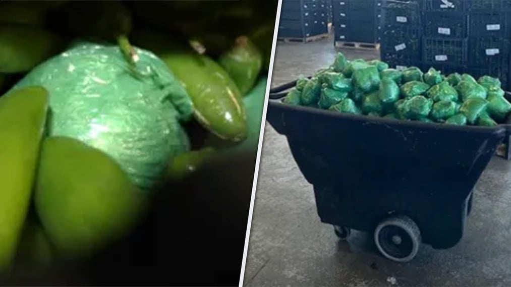 Over $31 million worth of methamphetamine was discovered in a shipment of peppers that was seized at the Texas-Mexico border.