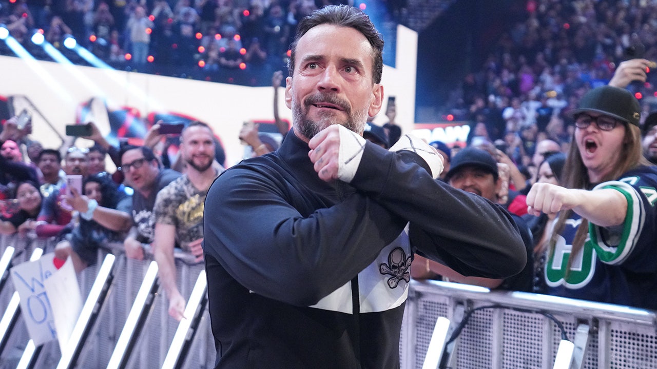 Firefighters battling Los Angeles wildfires receive a shoutout from WWE star CM Punk.