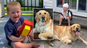 Boy with rare genetic disorder makes 'unbelievable' progress with the help of a service dog.