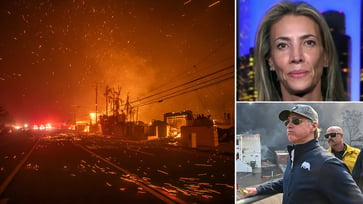 Newsom's wildfire response criticized by California mom.