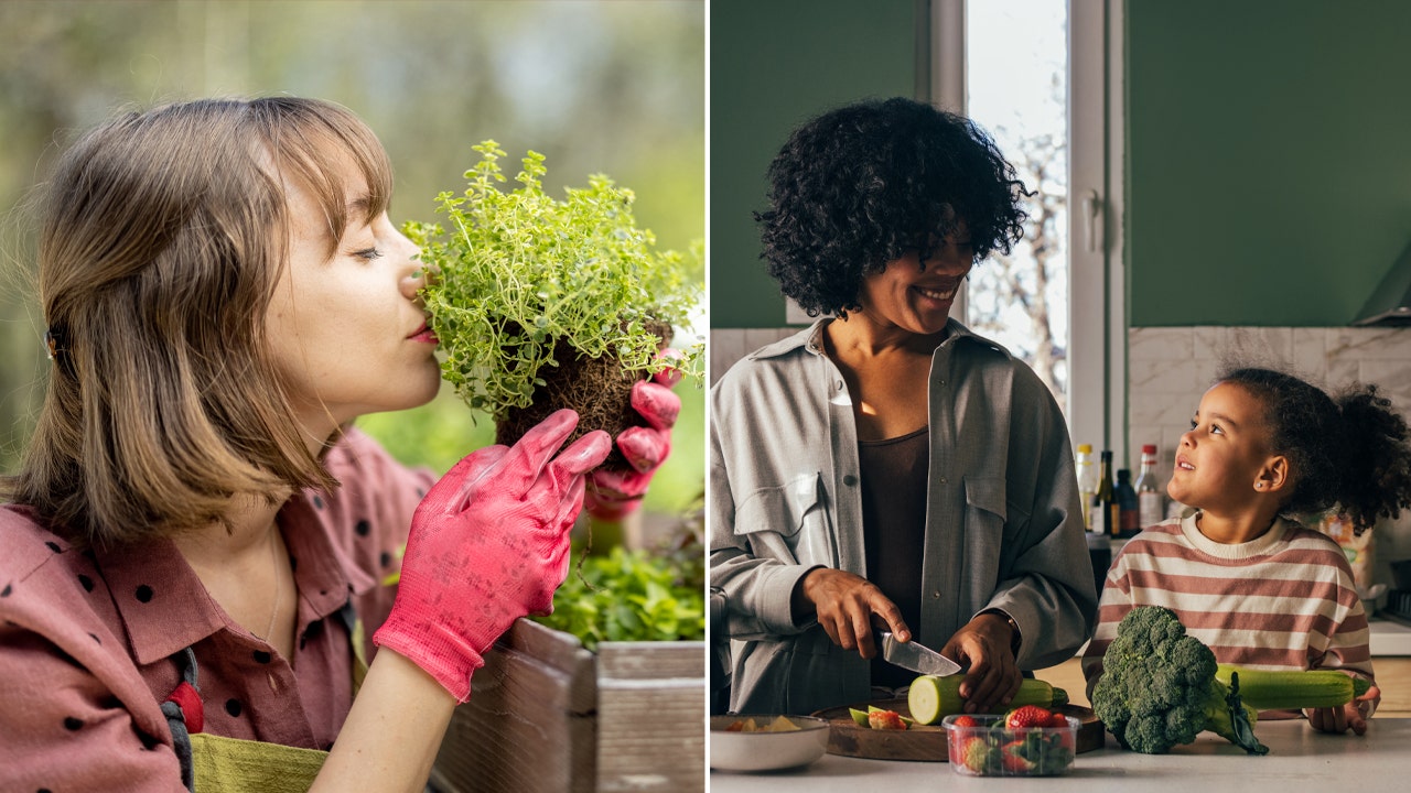 Here are 5 eco-friendly Mother's Day gifts to purchase on Amazon, including an indoor herb garden and other options.