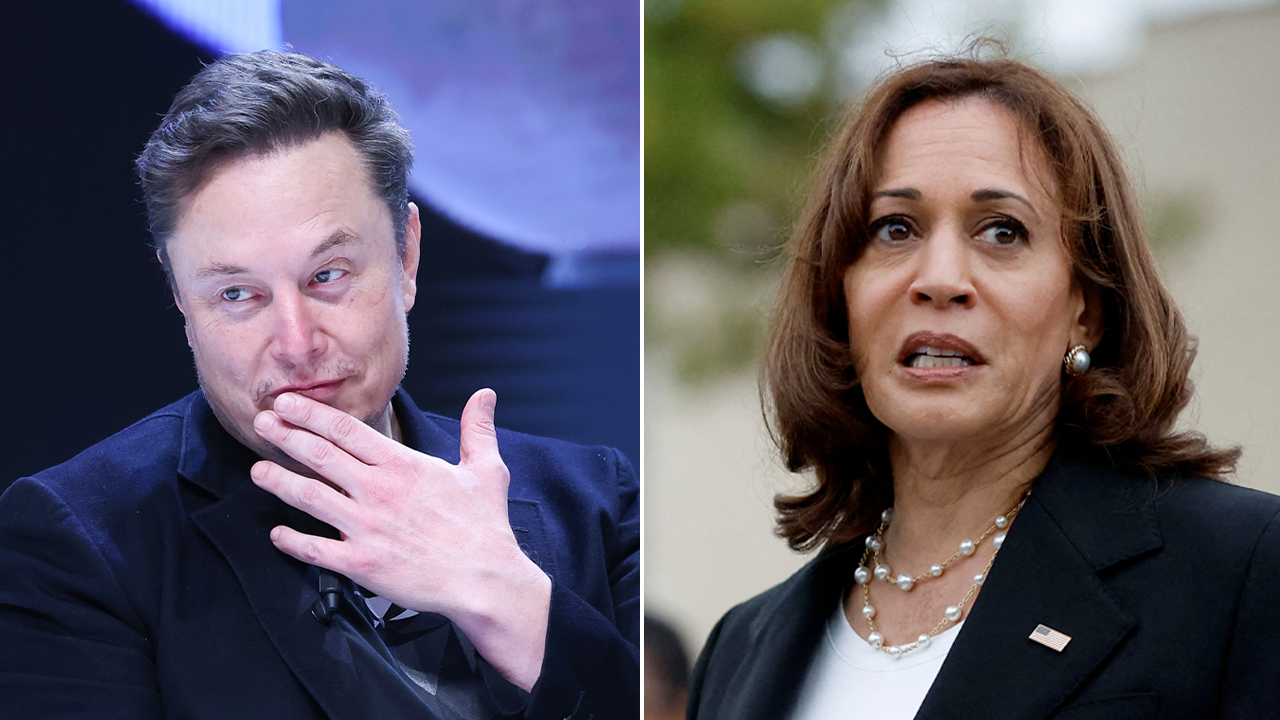 Elon Musk criticizes VP Harris for a past statement that illegal immigrants are not criminals.