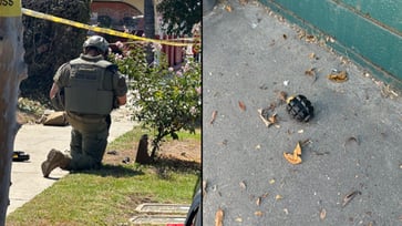 A gardener in California discovered four Russian-style grenades hidden in bushes near Los Angeles.