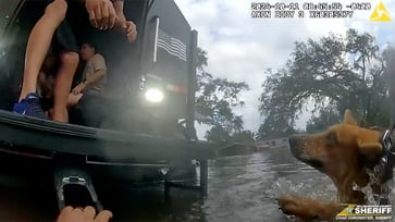 Family and dogs rescued from floodwaters in Hurricane Milton video.