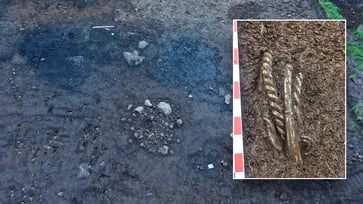 A 1,000-year-old Viking treasure was discovered buried in dirt, making it a "one-of-a-kind discovery."