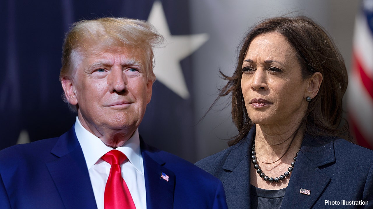 Trump hints at bailing out Harris campaign debts for the sake of unity in his latest troll.