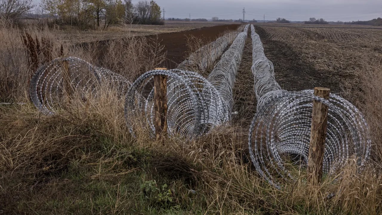 North Koreans mistakenly killed Russian paramilitary soldiers after seeking their assistance.