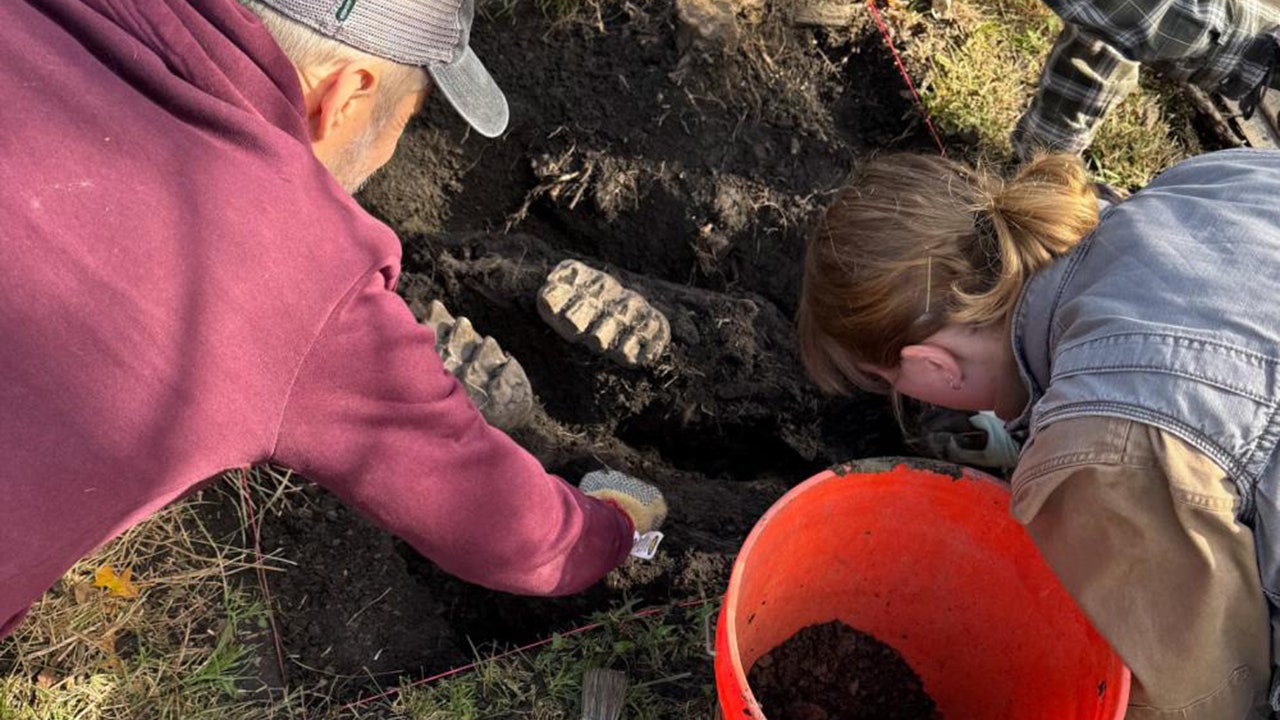 Discovery of a remarkable mastodon jaw in a New York homeowner's backyard